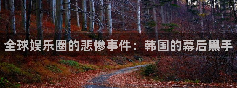 卧龙娱乐登录入口：全球娱乐圈的悲惨事件：韩国的幕后黑手