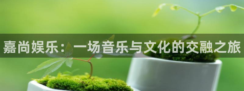 卧龙娱乐怎么样：嘉尚娱乐：一场音乐与文化的交融之旅