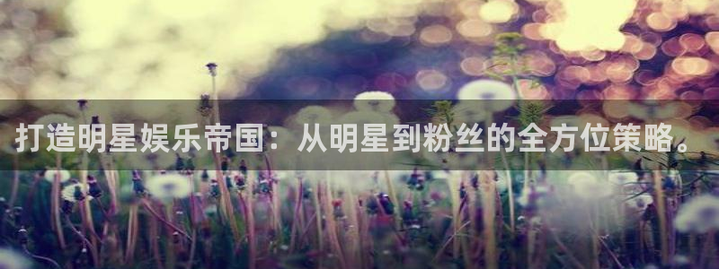 卧龙娱乐登录入口：打造明星娱乐帝国：从明星到粉丝的全方位策略。