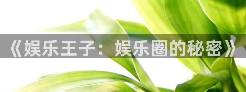 卧龙娱乐登录入口：《娱乐王子：娱乐圈的秘密》