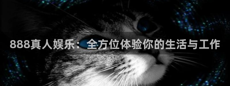 卧龙娱乐怎么样：888真人娱乐：全方位体验你的生活与工作